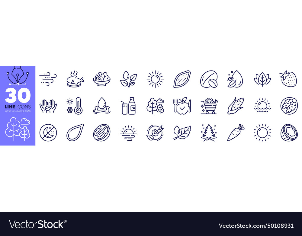 Coconut sunrise and corn line icons pack for web