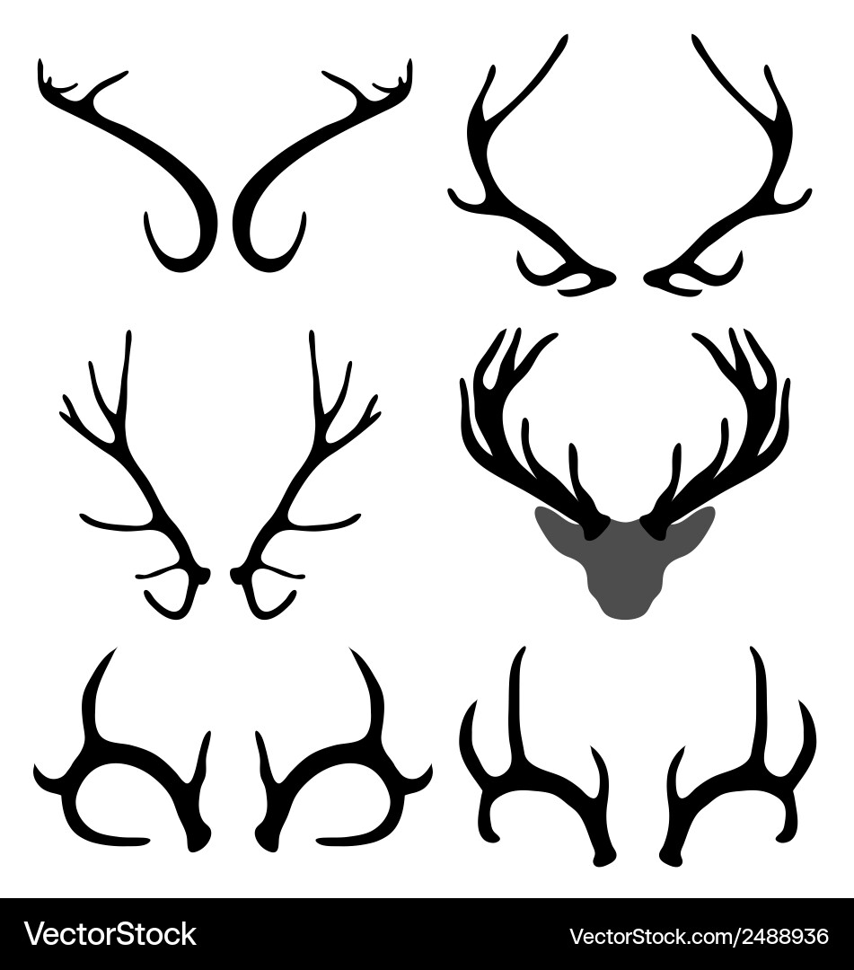 Antlers of deer Royalty Free Vector Image - VectorStock