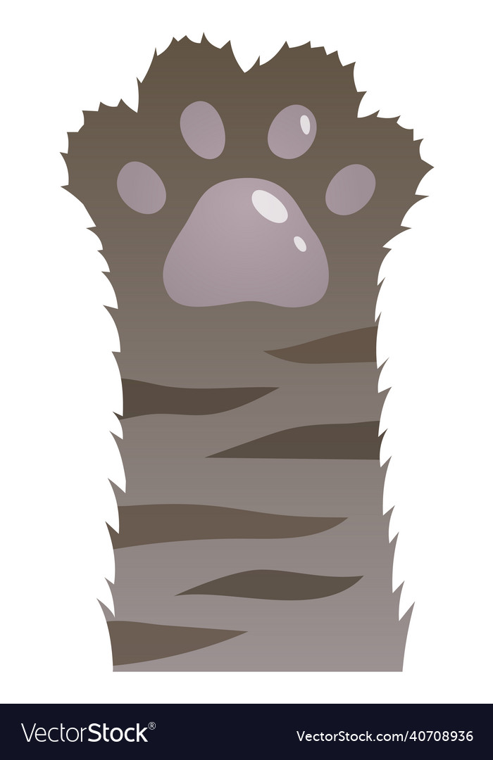 Grey cat hot sale paws