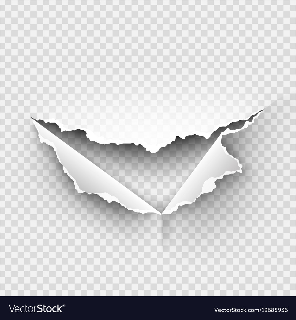 Premium Vector  Torn ripped paper hole on transparent background