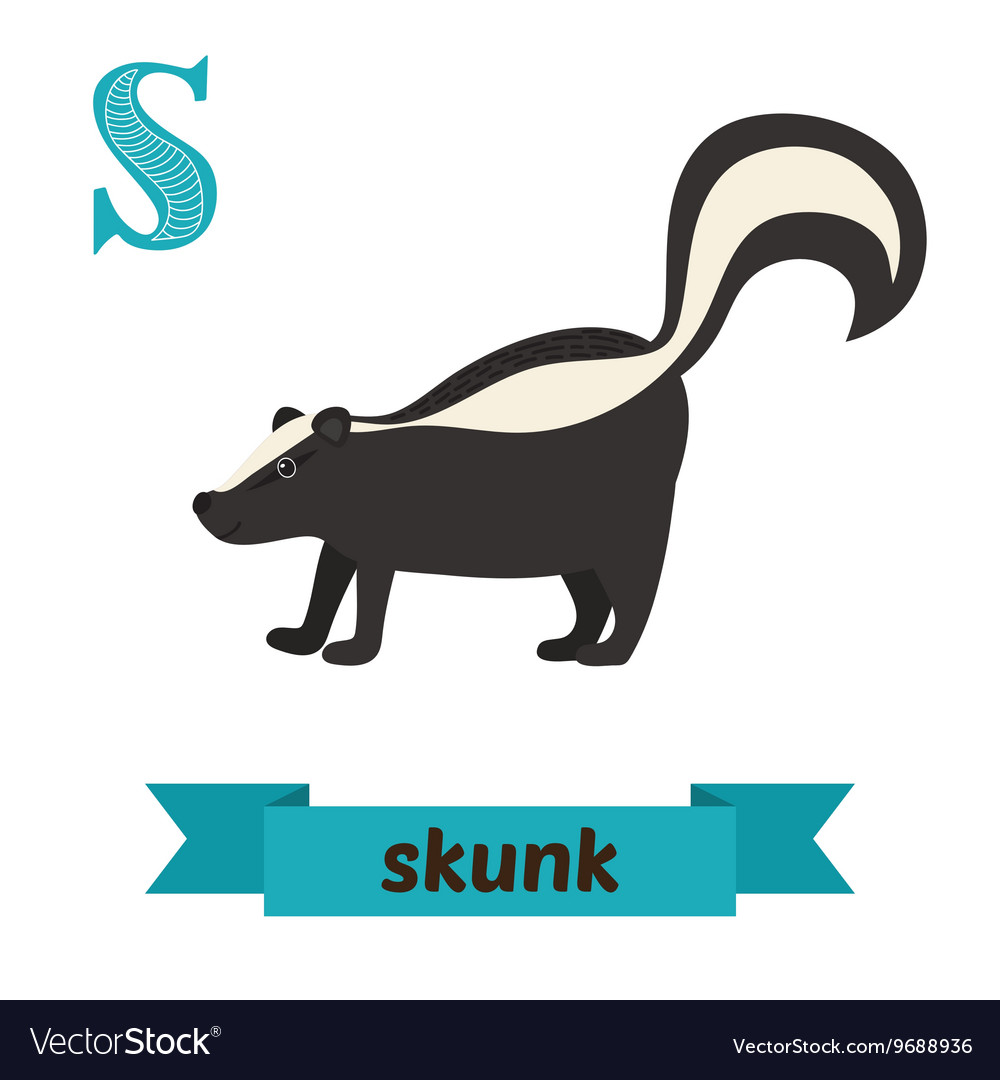 Skunk S letter Cute children animal alphabet in Vector Image