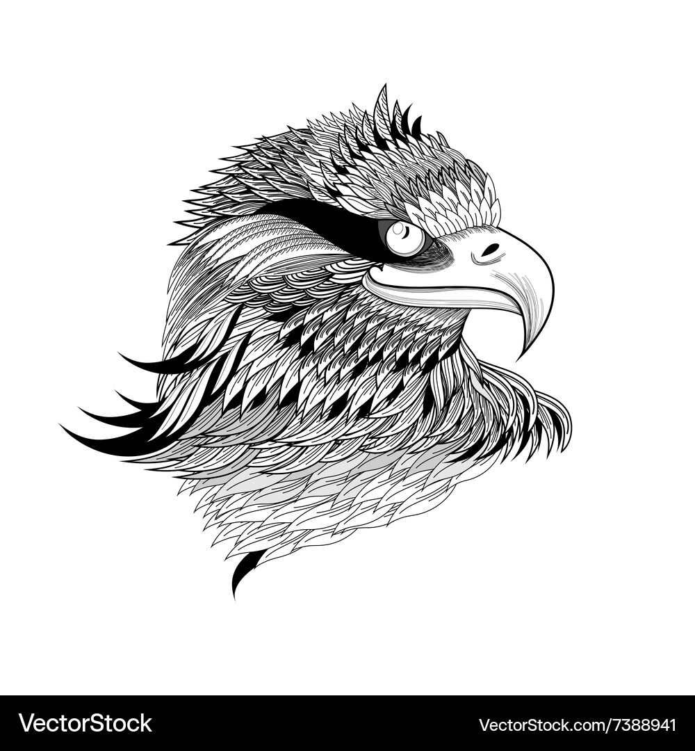 Beautiful a graphical eagles head isolated Vector Image