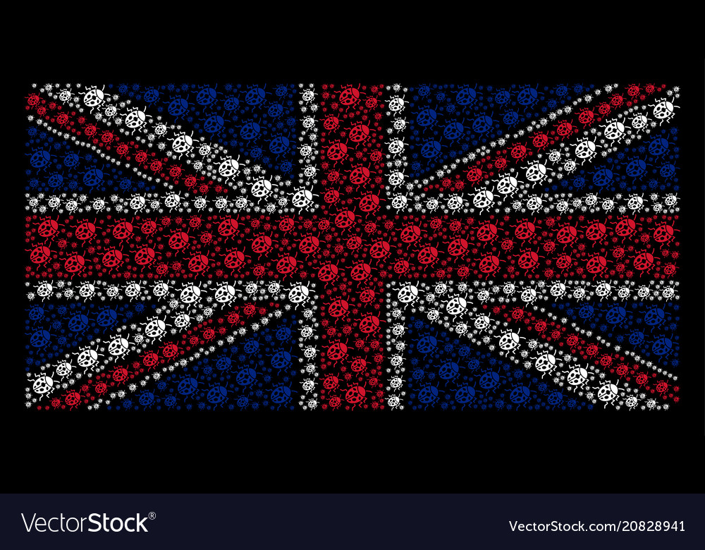 Uk flag pattern of ladybird bug items vector image Uk flag pattern of ladybird bug items