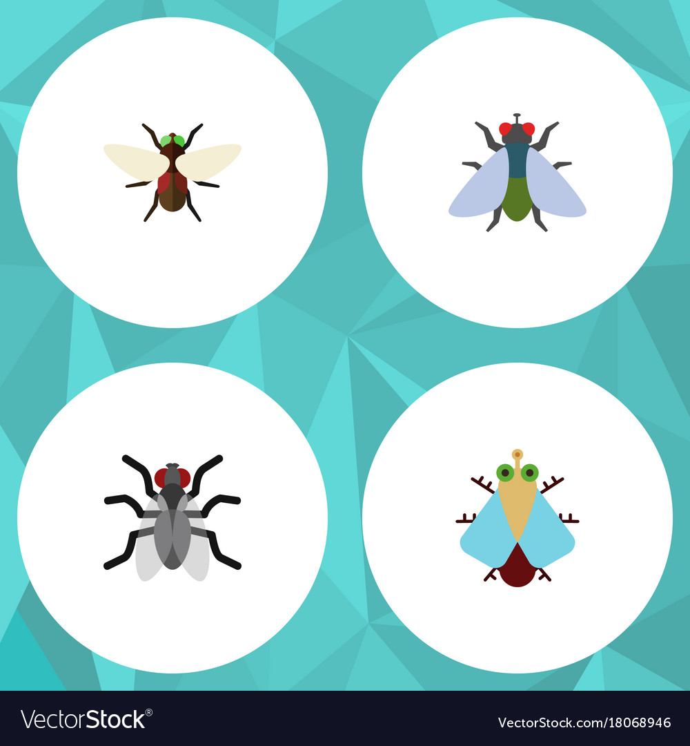 Flat icon buzz set of gnat fly bluebottle