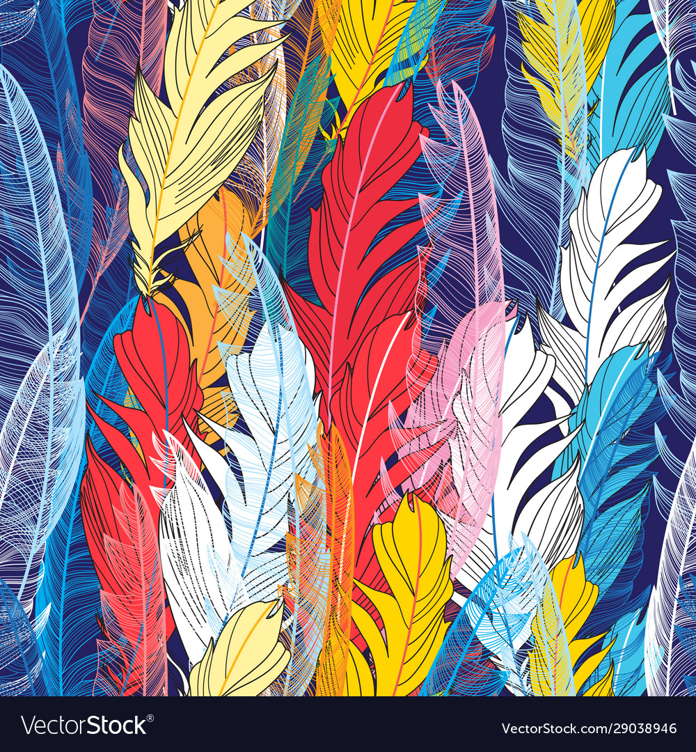 Multicolor Feather Pattern