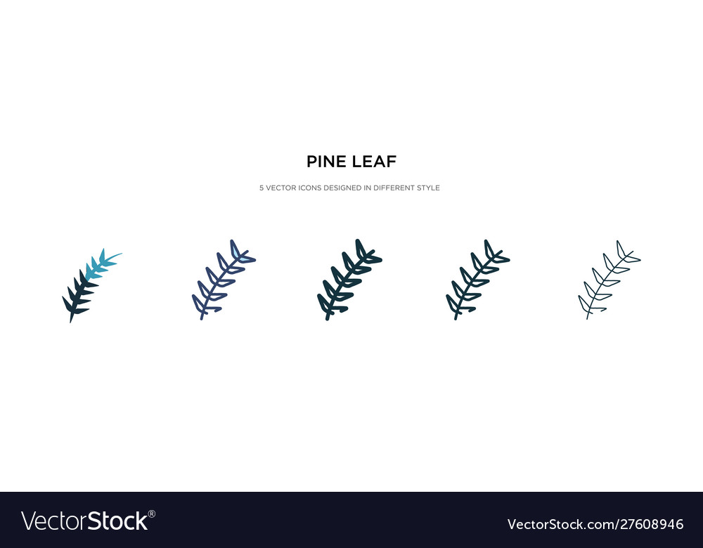 Pine leaf icon in different style two colored