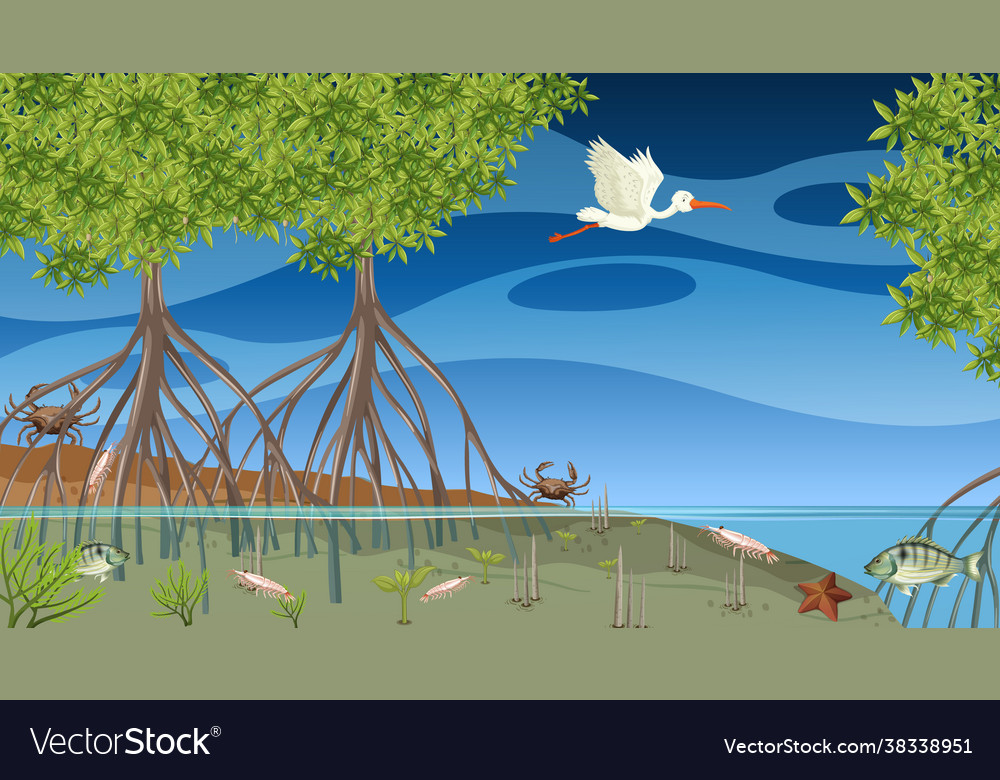 Animals live in mangrove forest at night scene Vector Image