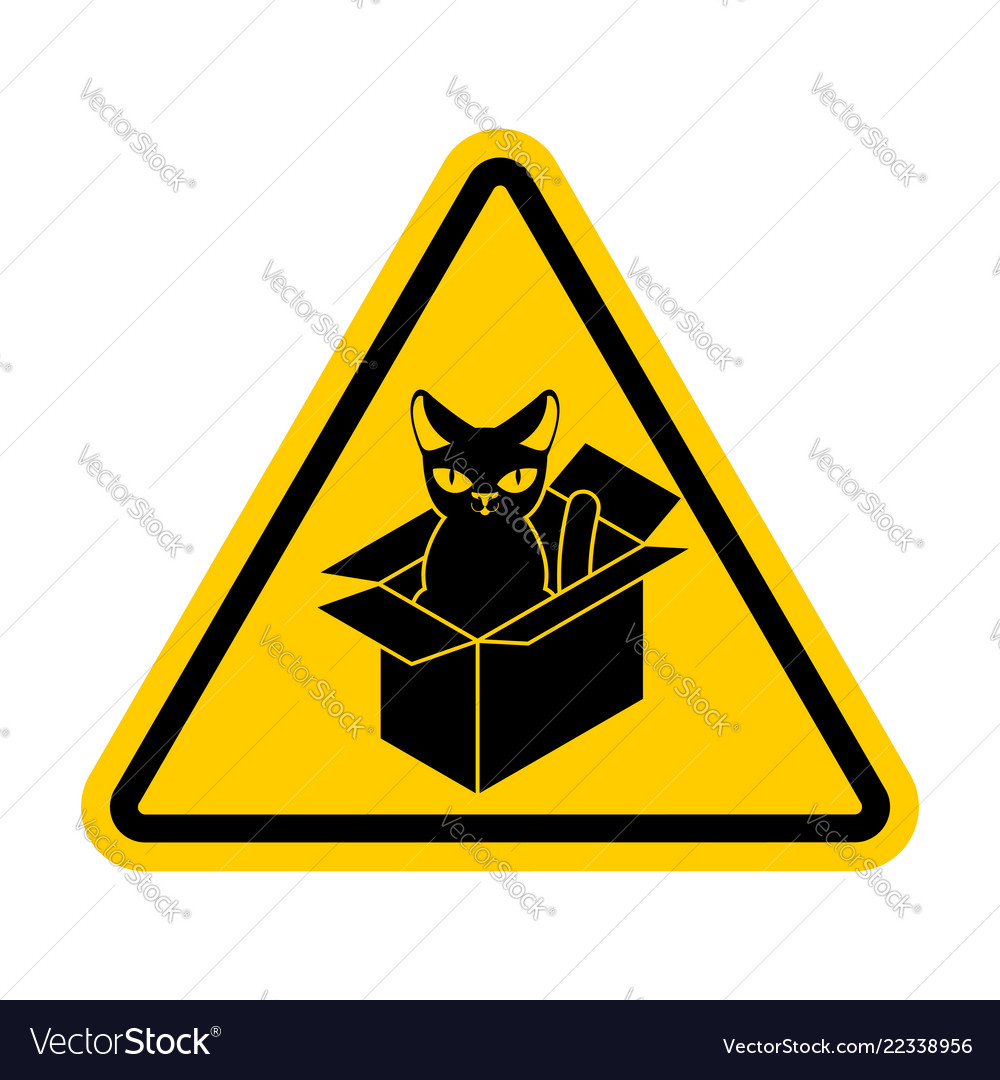 Attention cat in box forbidden home pet