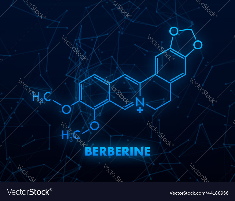 Berberine concept chemical formula icon label