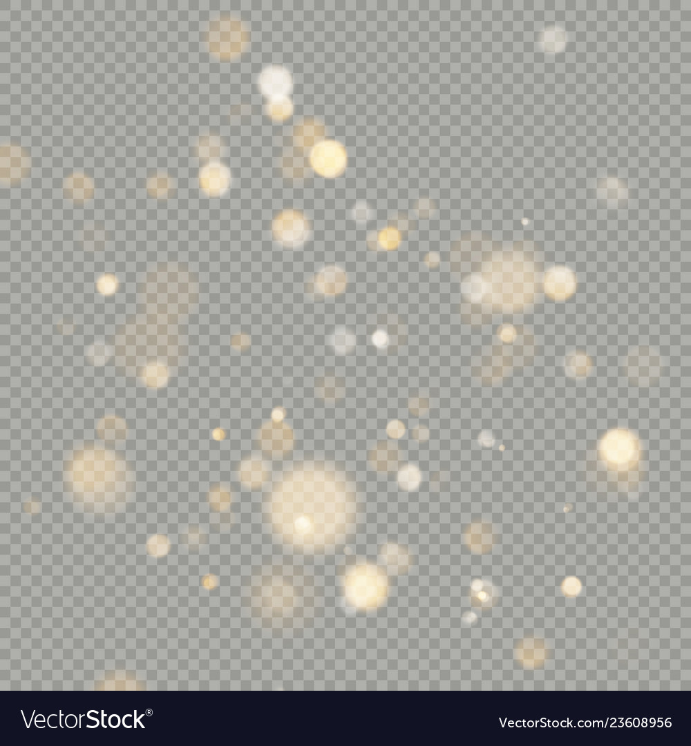 Effect of bokeh circles isolated on transparent vector image Effect of bokeh circles isolated on transparent
