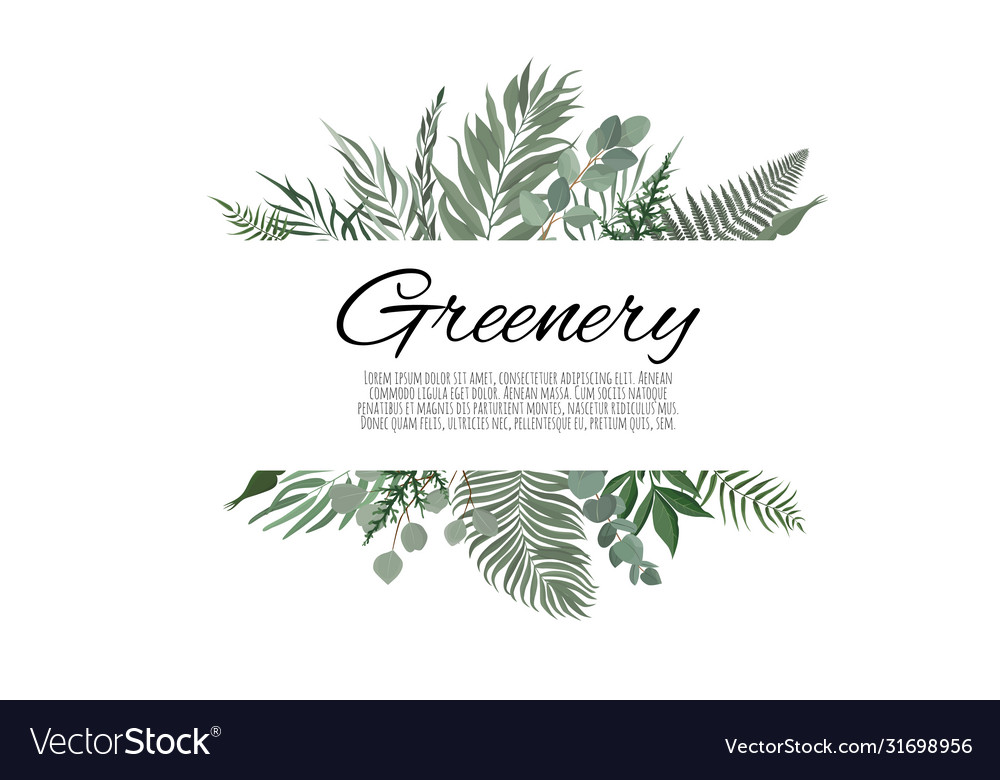 Horizontal botanical design banner