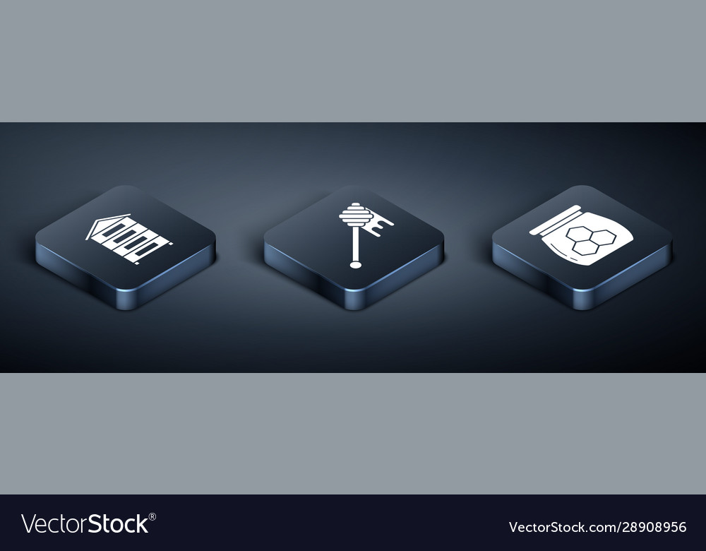 Set isometric hive for bees jar honey