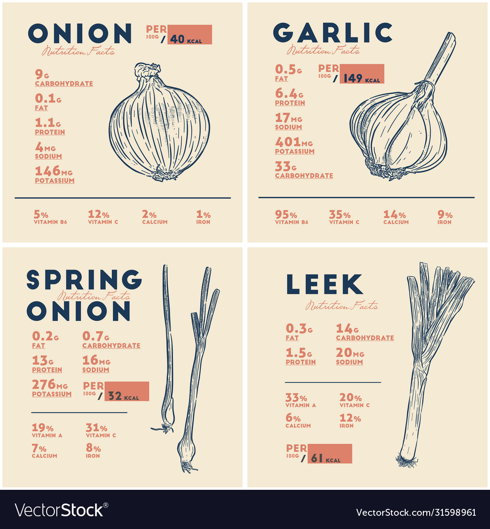 Nutrition Facts Onion Garlic Spring Onion Vector Image