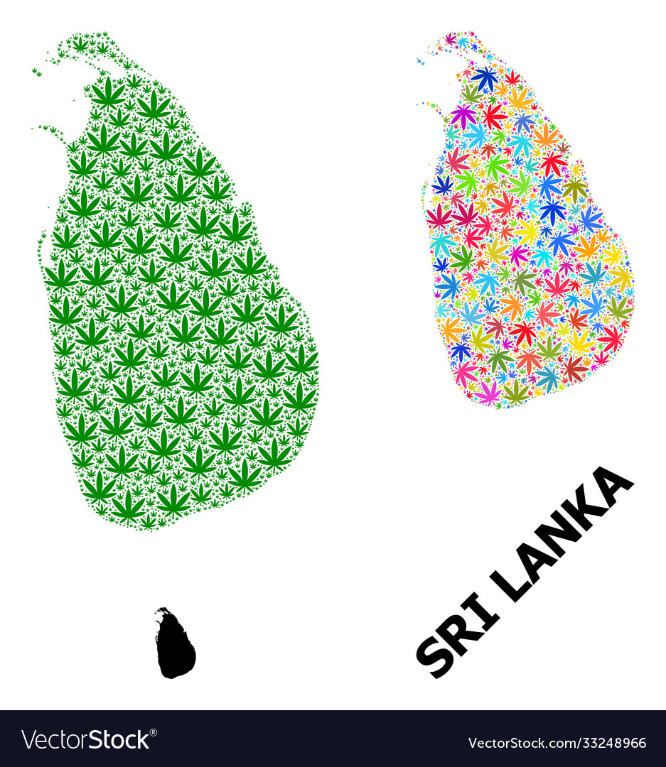 Collage map sri lanka bright