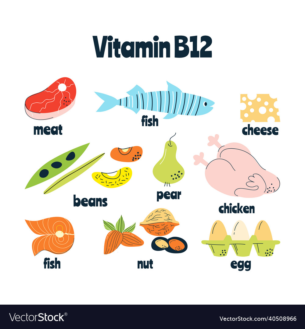 Foods Rich In Vitamin B12 Online Purchase Www gbu presnenskij ru