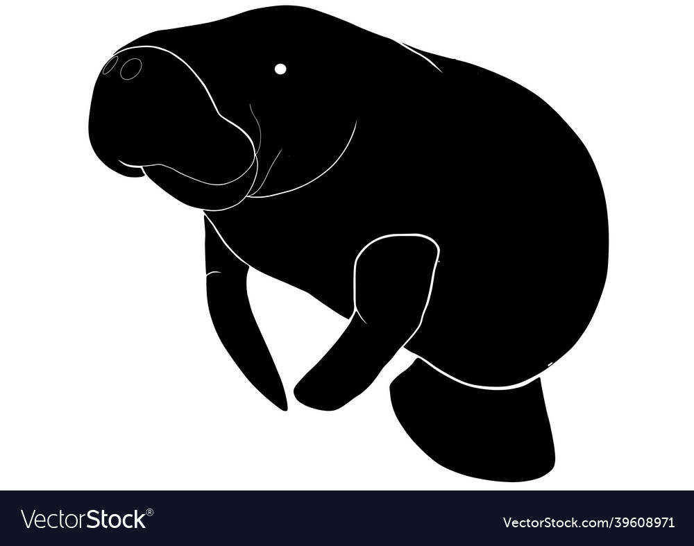 Manatee