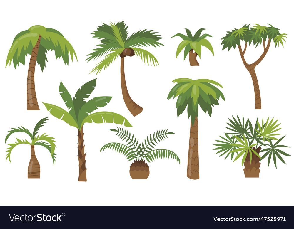 Various cartoon palm trees flat icon set