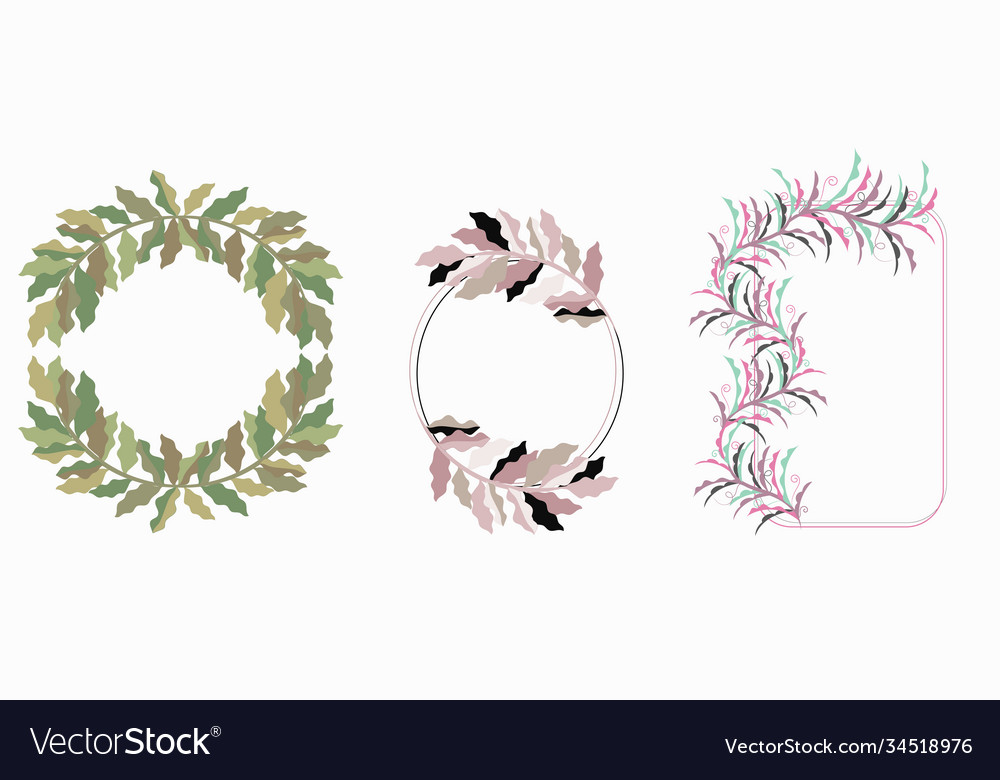Branches with frames