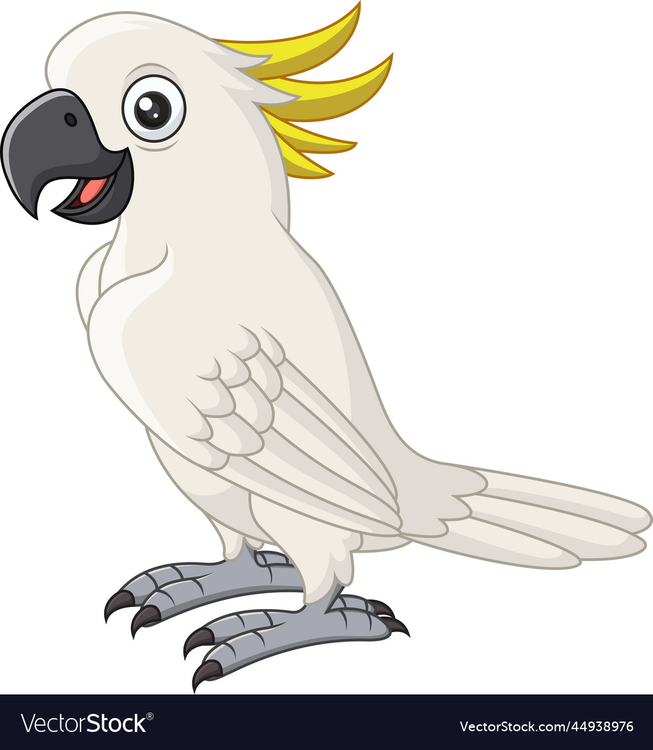 Cartoon white cockatoo on background