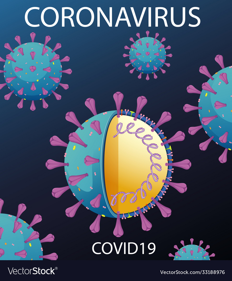 Diagram corona virus particle structure vector image Diagram corona virus particle structure