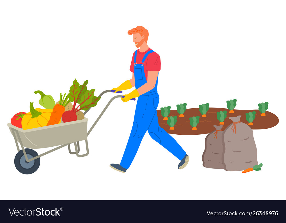 Farmer pushing cart loaded with vegetables Vector Image