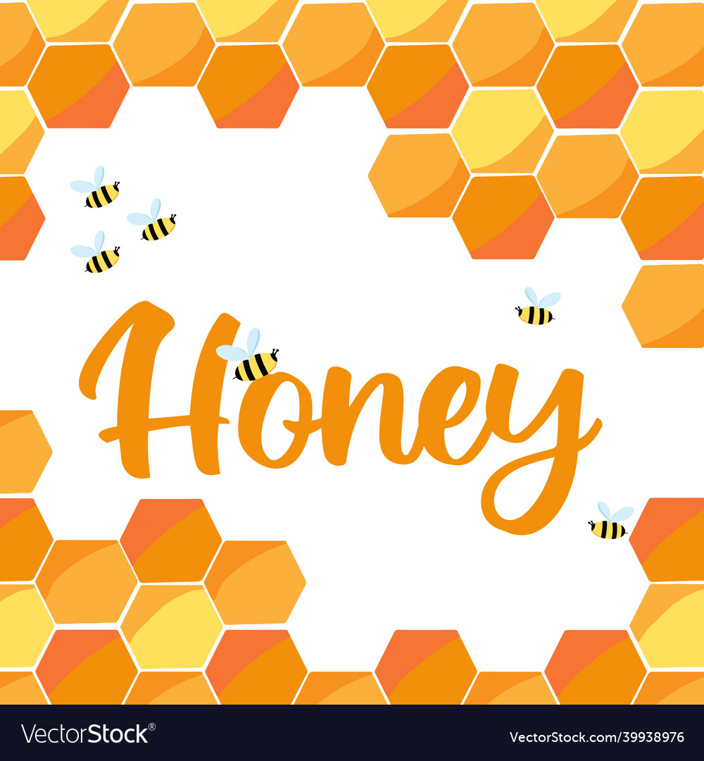 Hand drawn poster with honeycomb and bees Vector Image