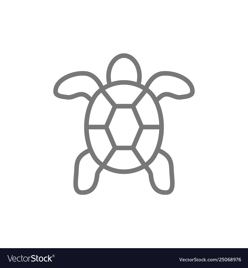 Turtle aquatic animal line icon Royalty Free Vector Image