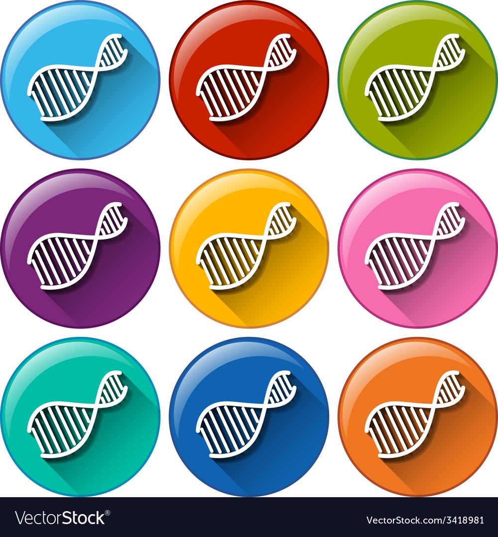 Buttons with dna symbols Royalty Free Vector Image