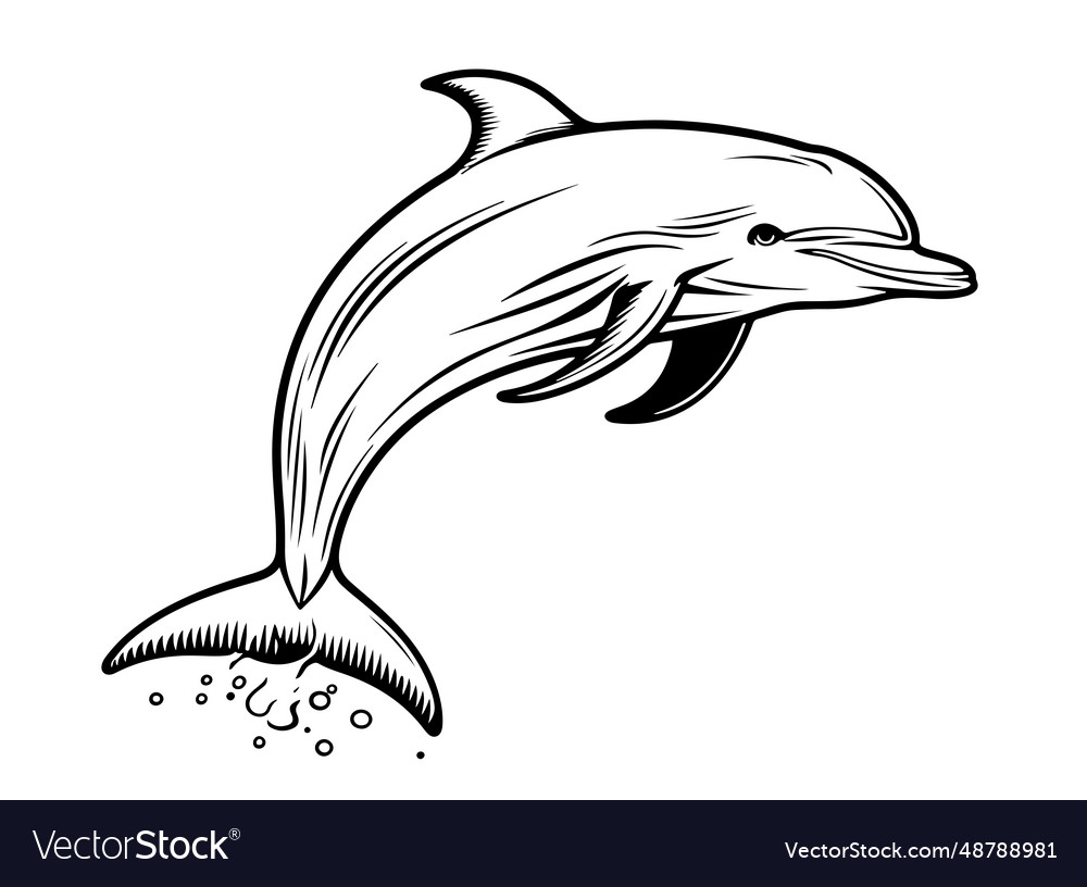 Dolphin sketch hand drawn sea Royalty Free Vector Image