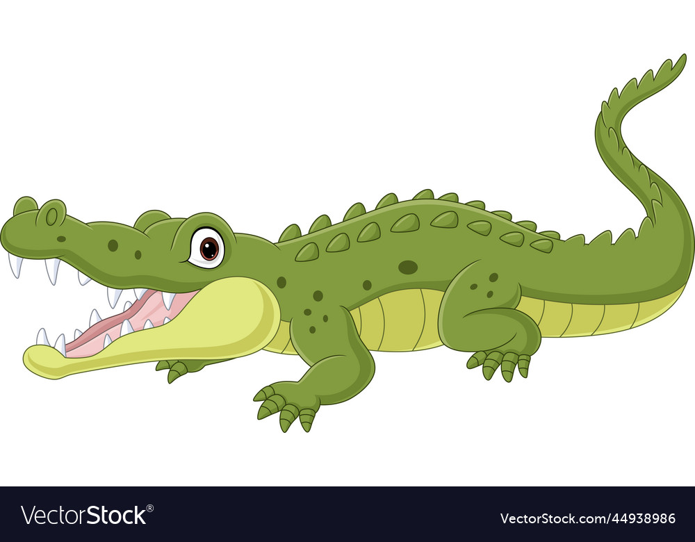 Cartoon crocodile isolated on white background Vector Image