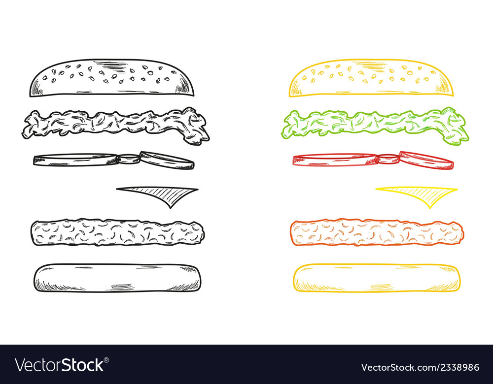 Hamburger Sketch - Exploded View