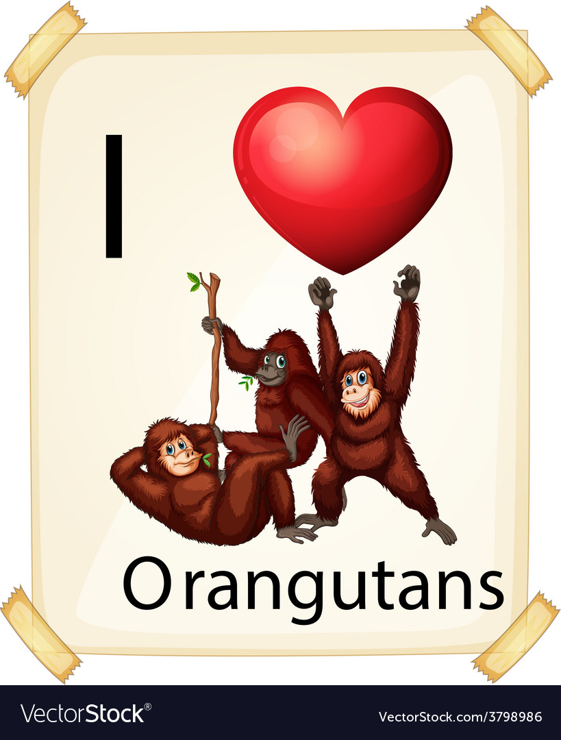 Orangutans Royalty Free Vector Image Vectorstock 4675