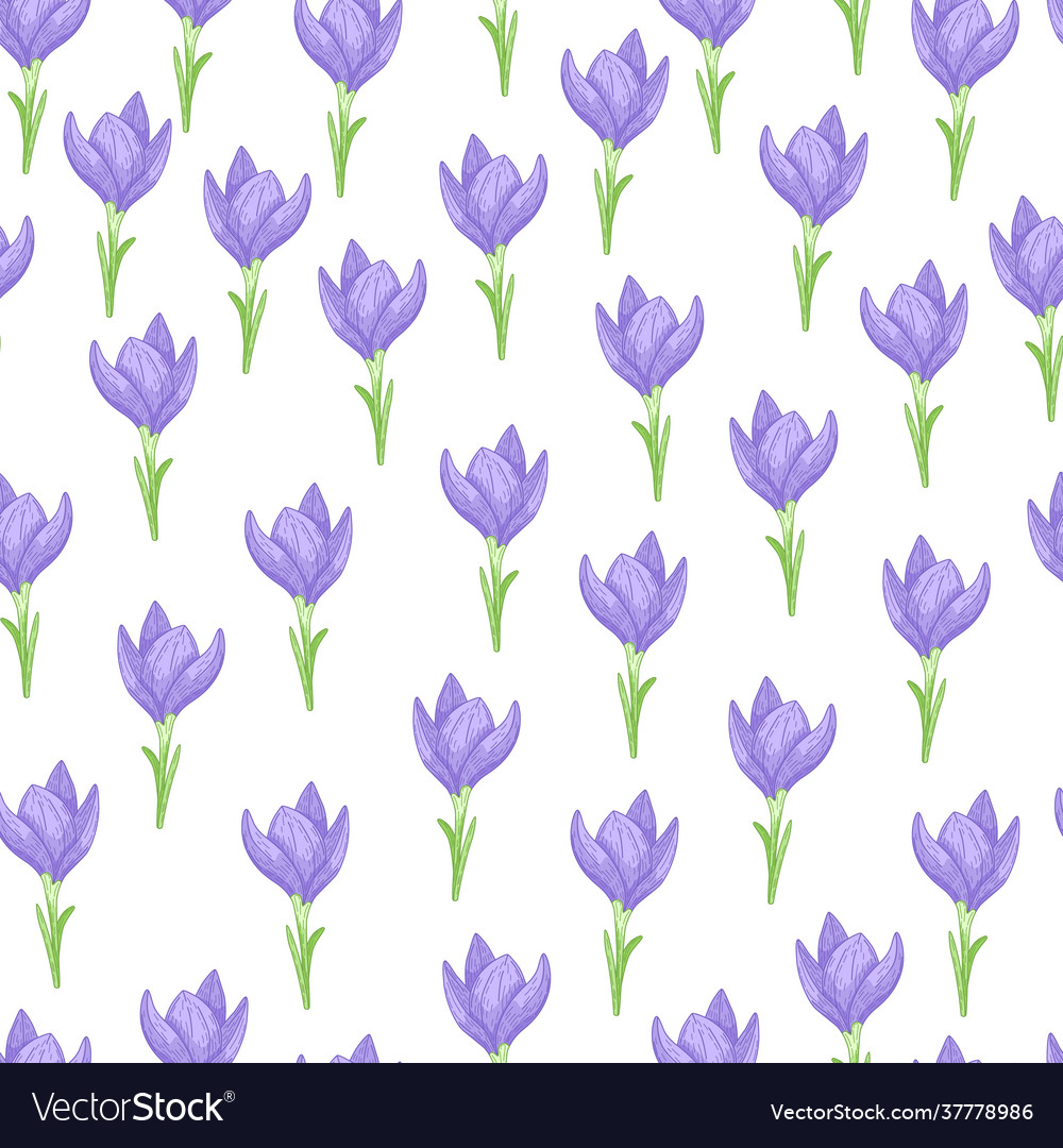 Seamless pattern with isolated blue crocus Vector Image Seamless pattern with isolated blue crocus