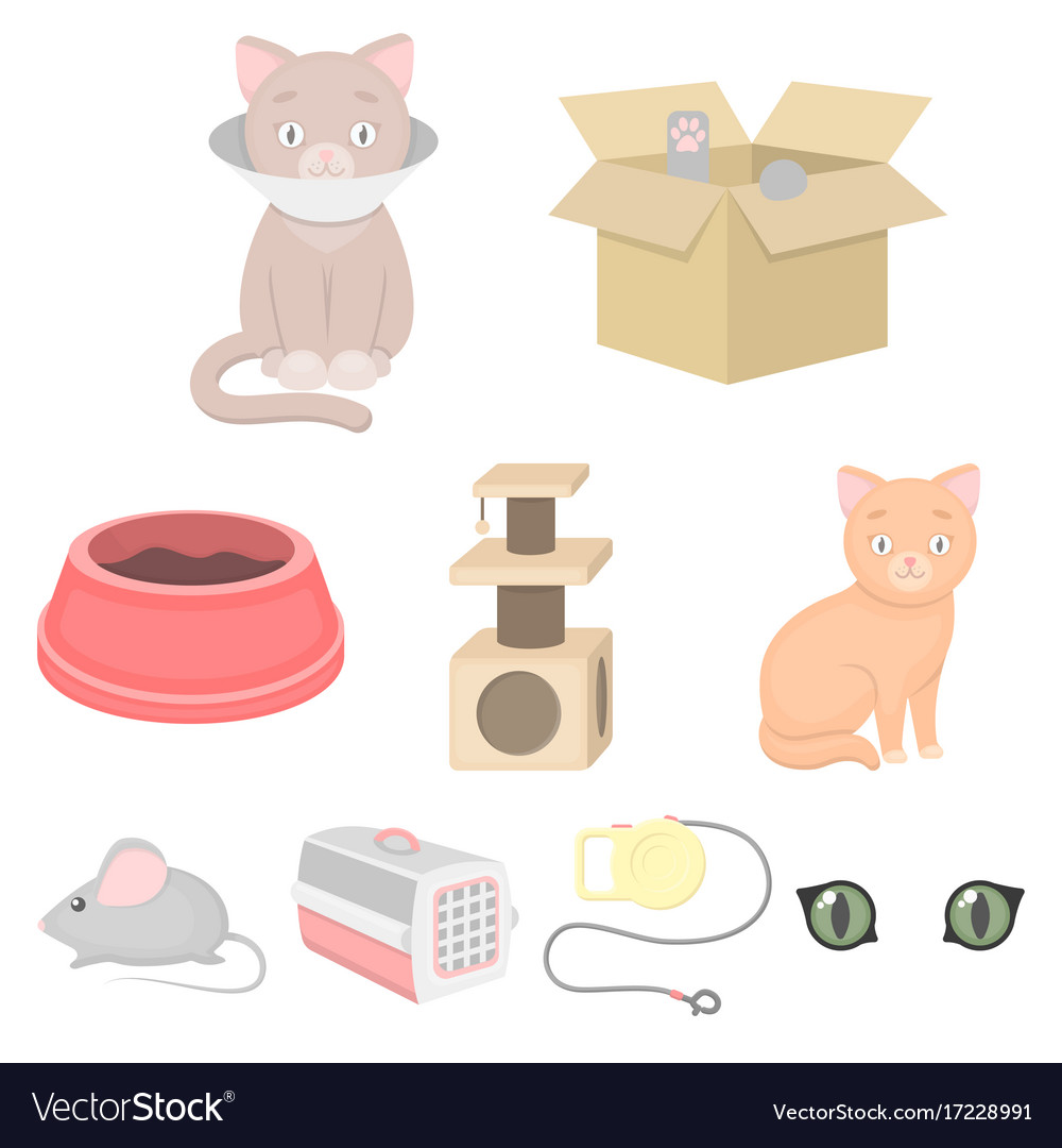 Cat equipment set icons in cartoon style big