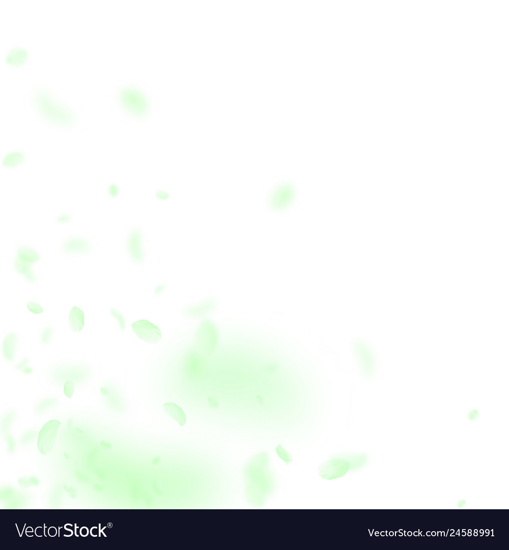 Green flower petals falling down appealing romant