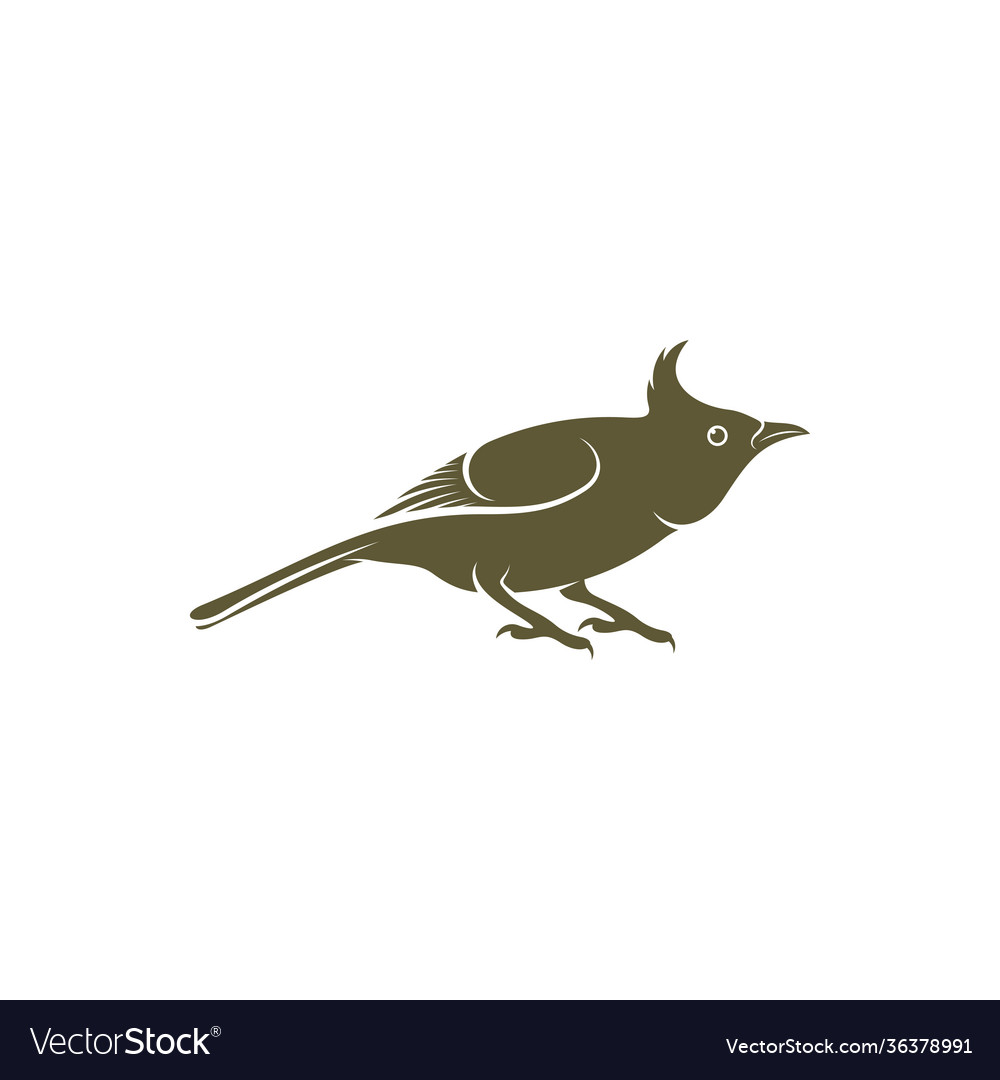 Himalayan bulbul bird design creative