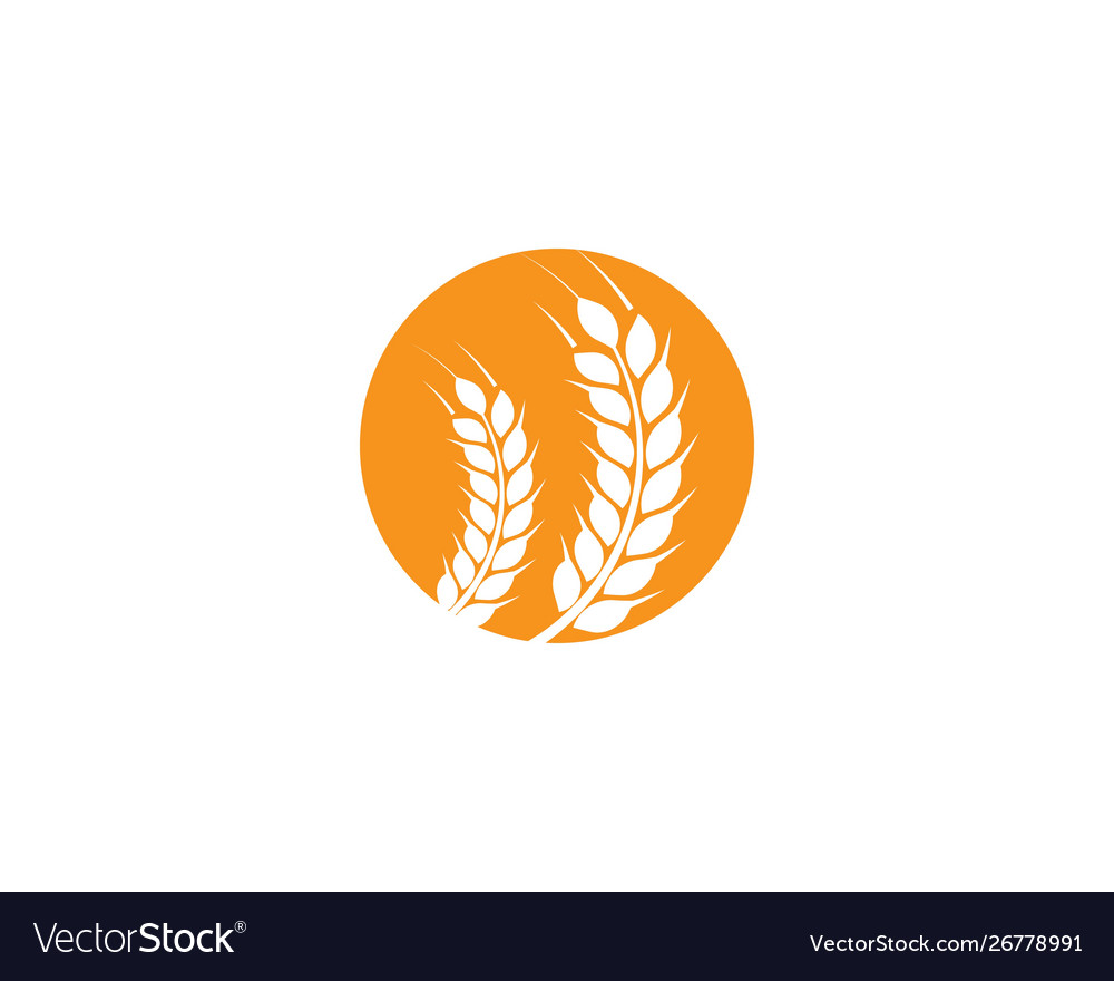 Wheat logo template