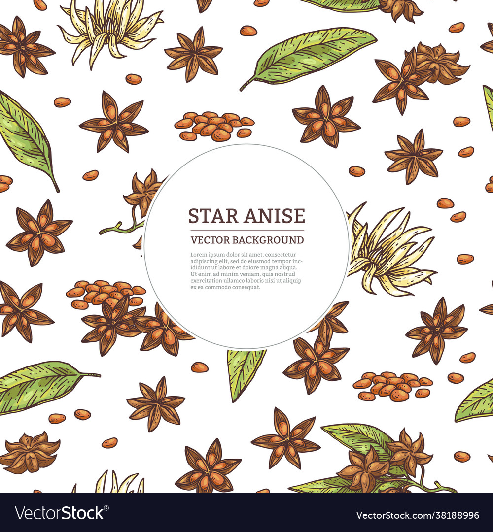 Background with anise spice and frame for text vector image Background with anise spice and frame for text
