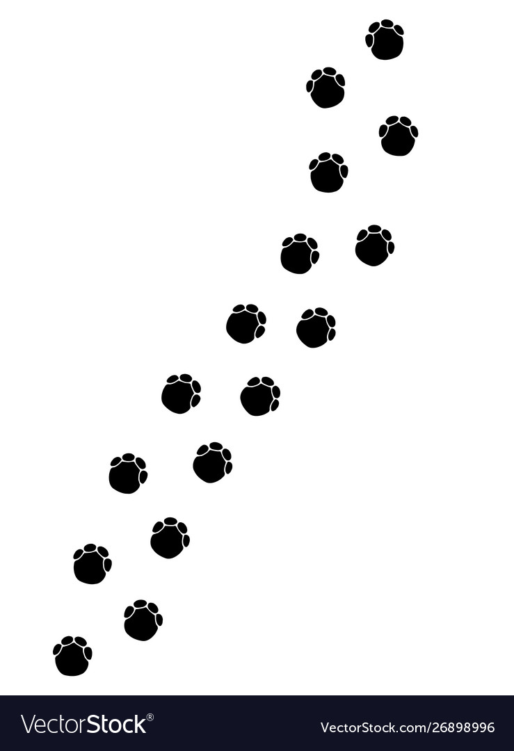 Black path elephant or hippo foot print