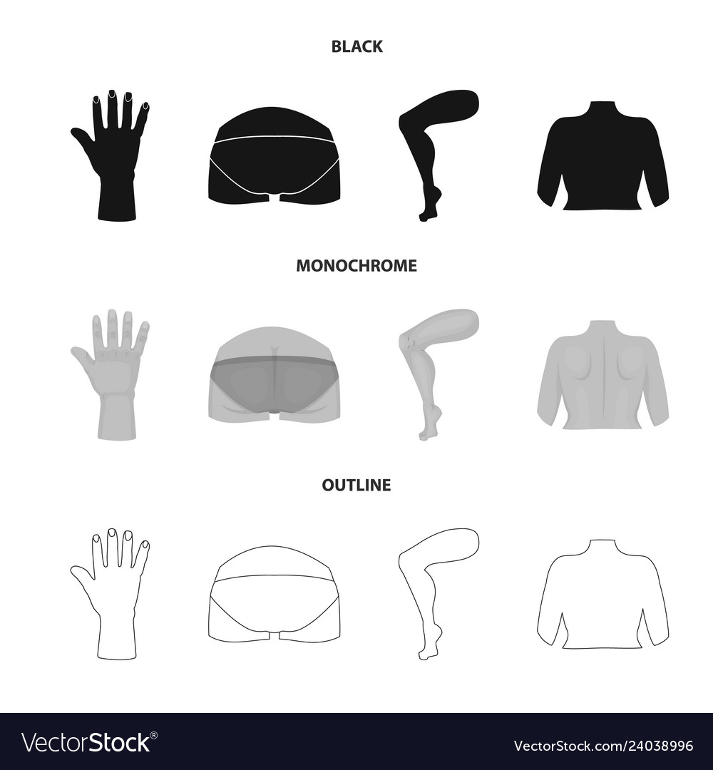 Design of body and part icon set vector image Design of body and part icon set
