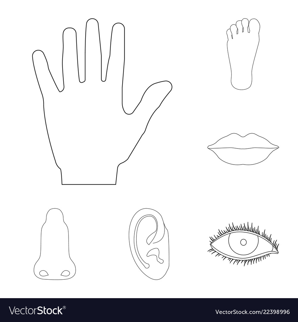 Design of human and part icon set vector image Design of human and part icon set