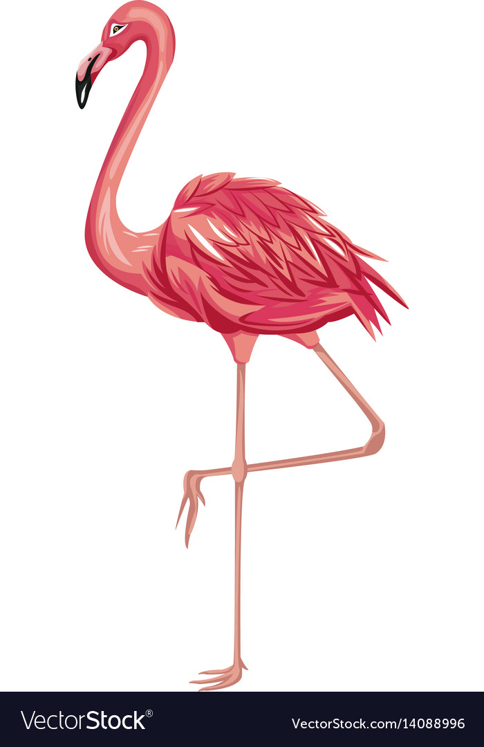 Pink flamingo icon Royalty Free Vector Image - VectorStock