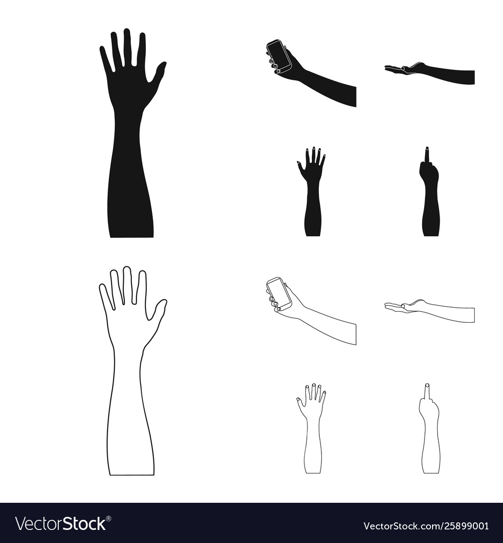 Design and animated sign set