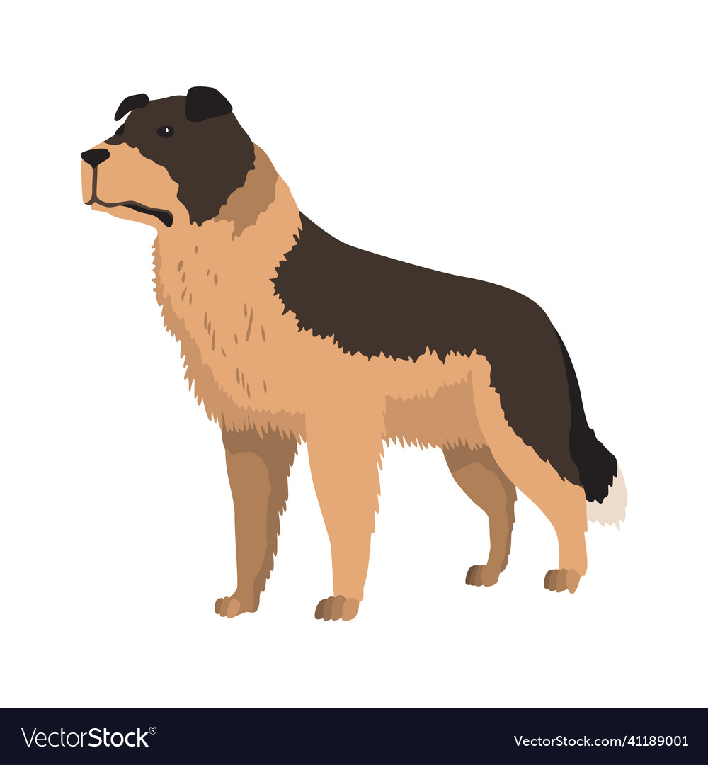 Dog breed cartoon domestic pet character flat