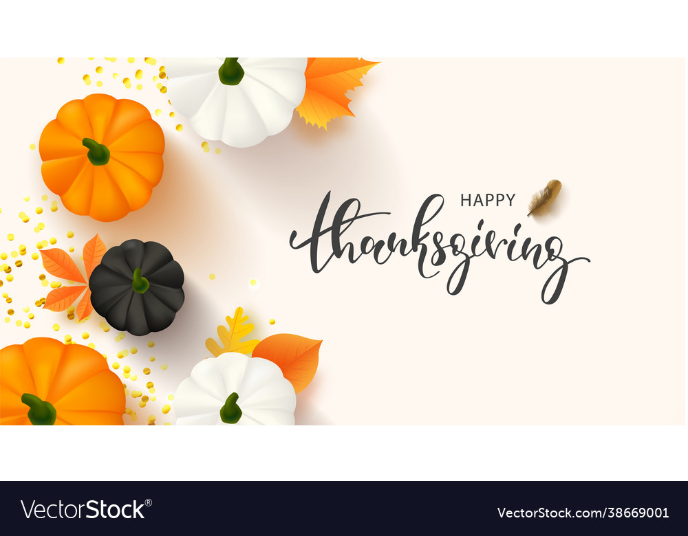 Hello thanksgiving banner template with pumpkin vector image Hello thanksgiving banner template with pumpkin