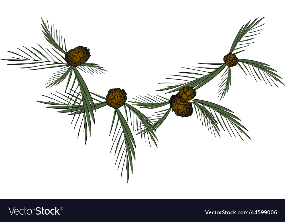 Christmas and new year frame segment with fir