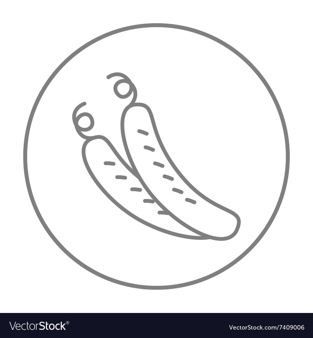 Cucumber line icon