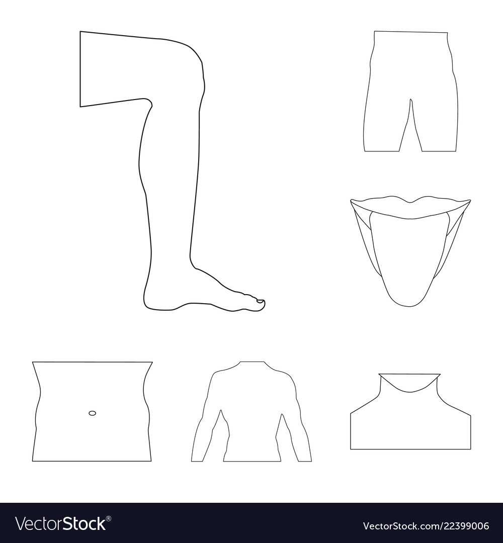 Isolated object of human and part logo set vector image Isolated object of human and part logo set