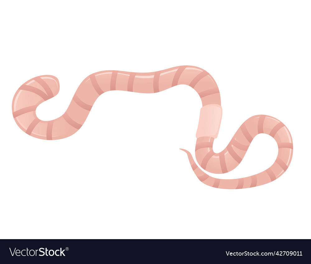 Earthworm crawling cartoon worm design flat Vector Image