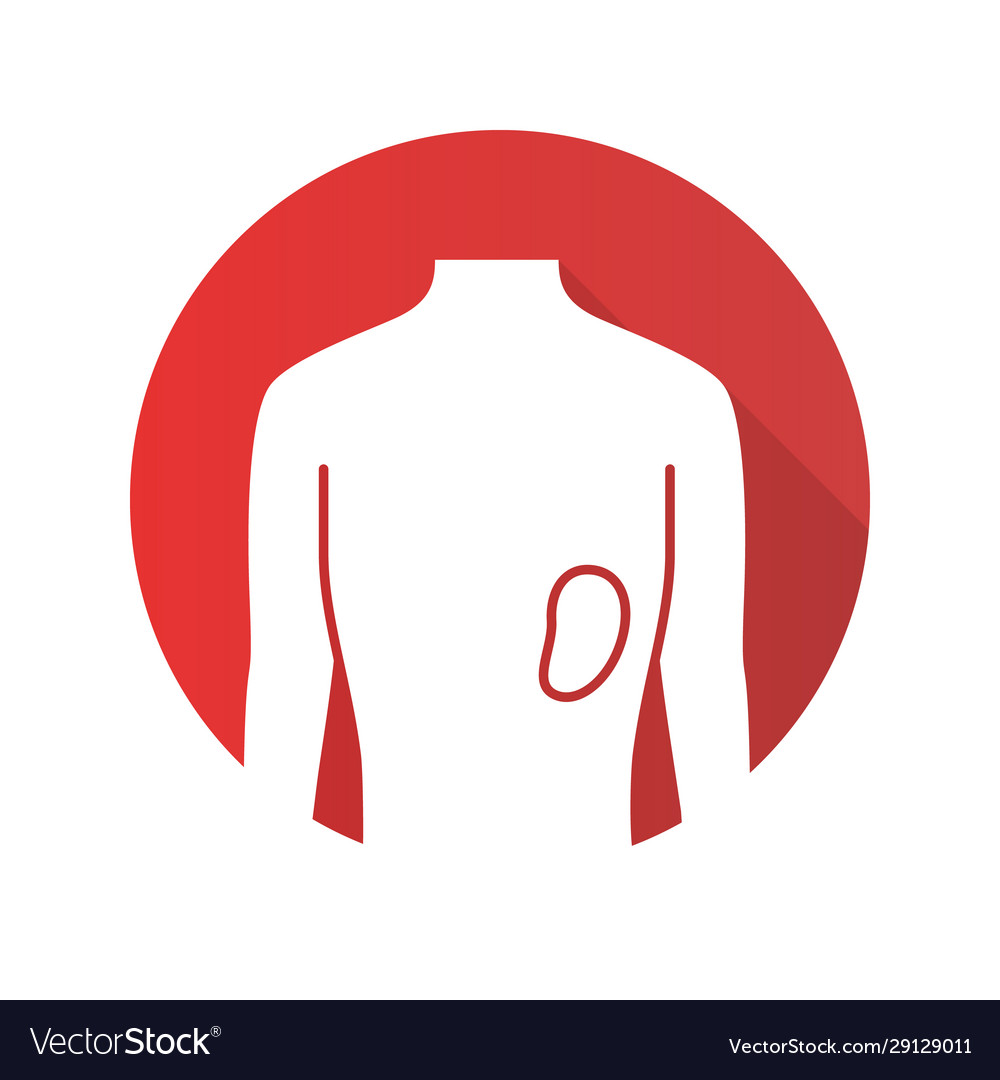 Healthy spleen flat design long shadow glyph icon